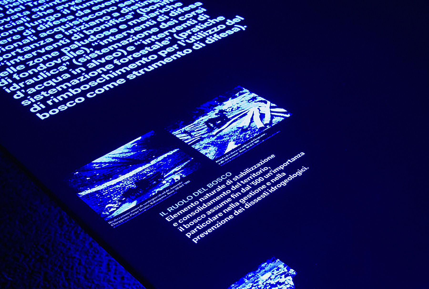 2016_Novembre-1966_Exhibition_18